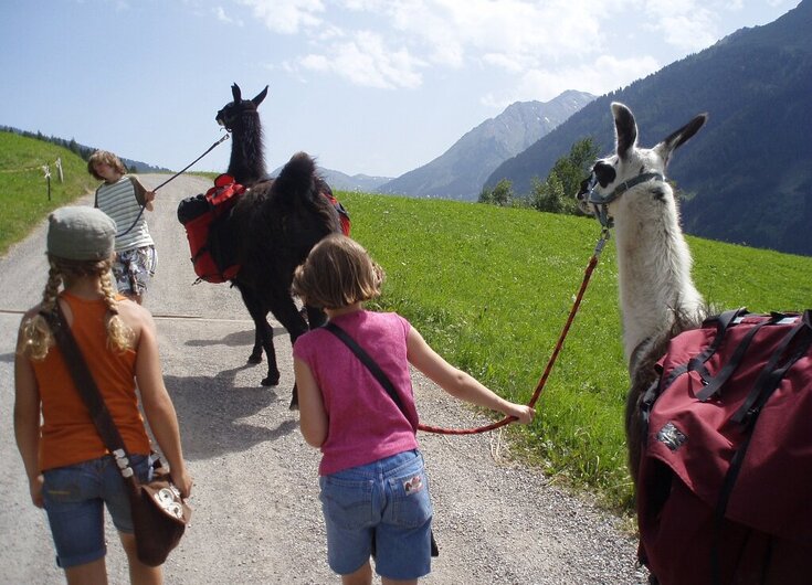 2 Kinder machen ein Lama Trekking am Wattenberg