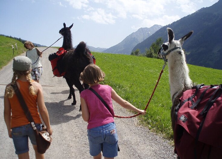 2 Kinder machen ein Lama Trekking am Wattenberg
