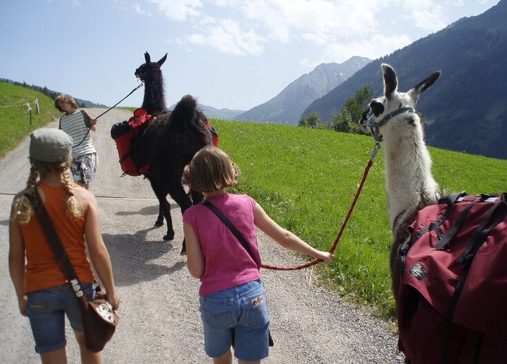 2 Kinder machen ein Lama Trekking am Wattenberg