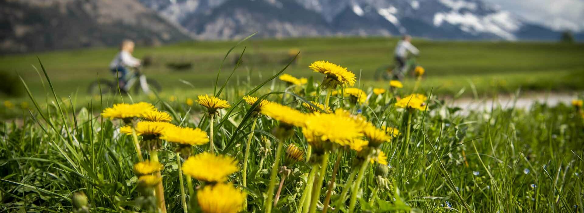 Kinder radeln durch Tulfes in der Region Hall-Wattens