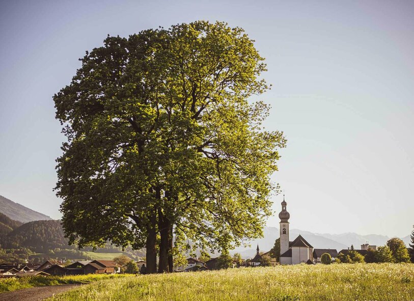 Der Kraftort beim Platz zu den Drei Eichen in Mils