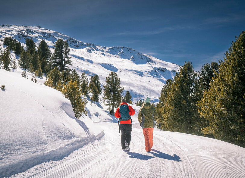 Pärchen beim Wandern im Schnee von hinten fotografiert