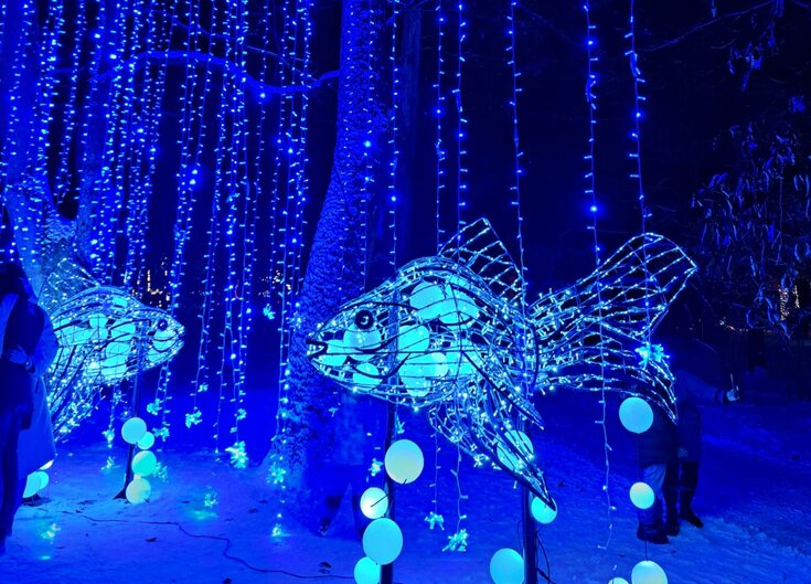 Lichtobjekte in Form von Fischen