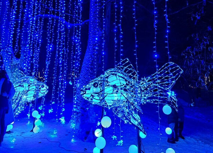 Lumagica Lichtobjekte in Form von Fischen