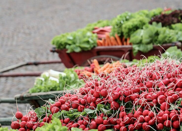 Wagen voller Radieschen für das Haller Radieschenfest