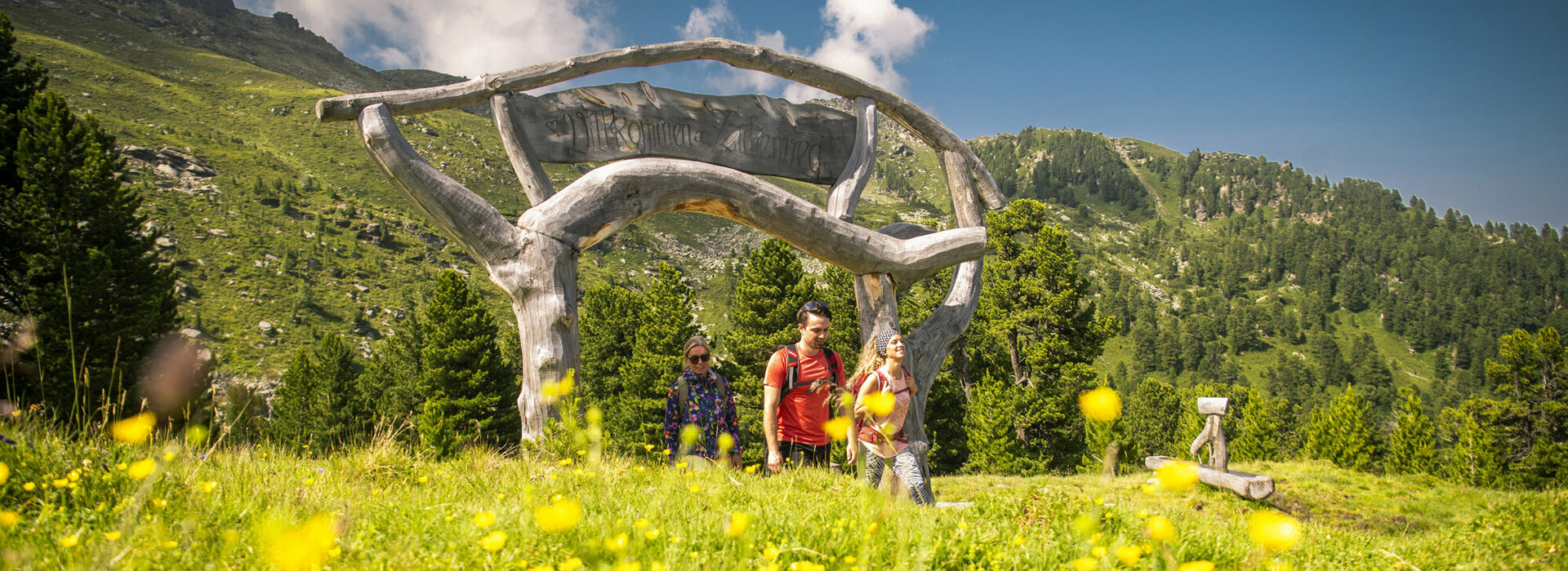 Wandern auf dem Zirbenweg Wanderer auf dem Zirbenweg