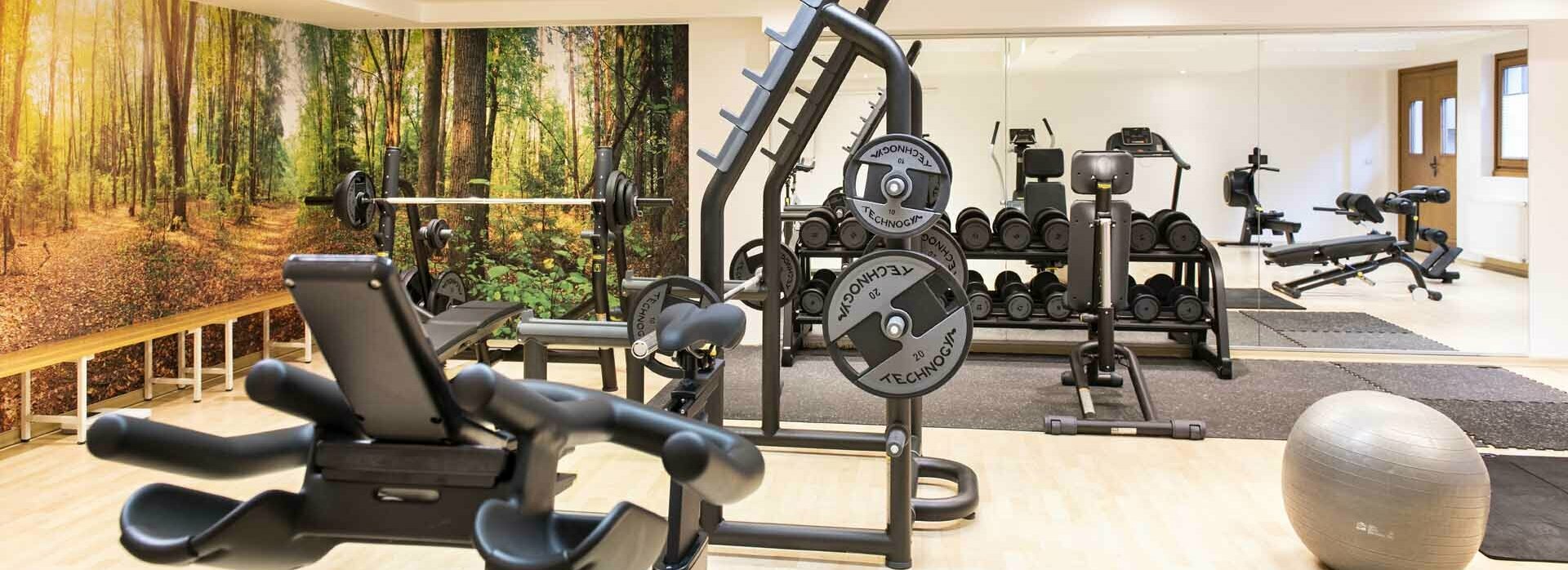 Fitnessraum im Reschenhof mit Geräten